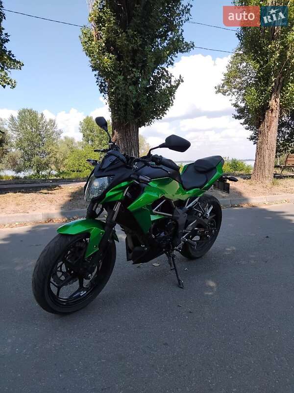 Мотоцикл Без обтікачів (Naked bike) Kawasaki 250