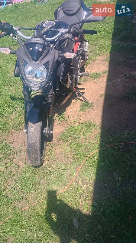 Мотоцикл Без обтікачів (Naked bike) Kawasaki 250