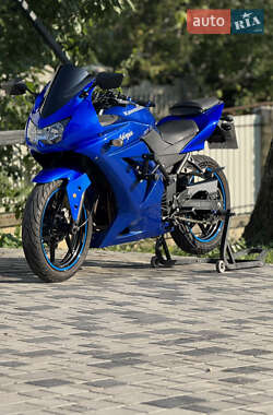 Kawasaki EX 250  2010