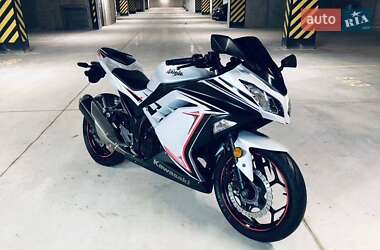 Kawasaki EX 300  2015