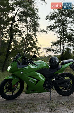 Kawasaki Ninja 250  2009