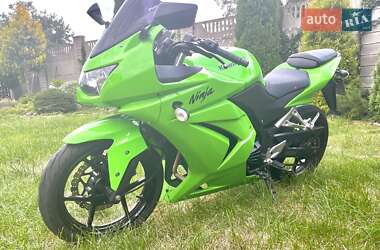 Kawasaki Ninja 250R  2013