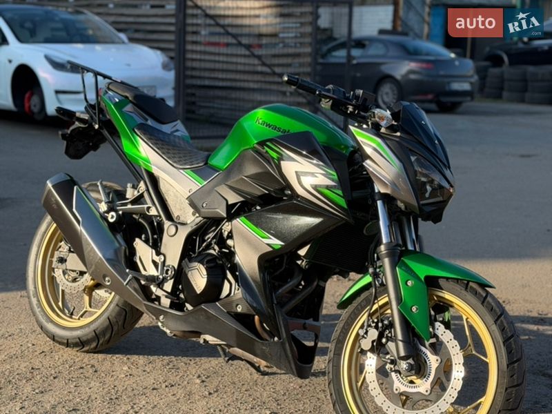 Kawasaki Z 250