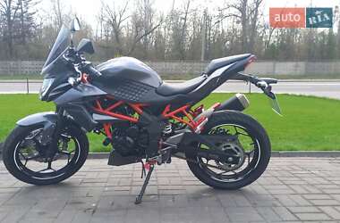 Kawasaki Z 250SL 2015