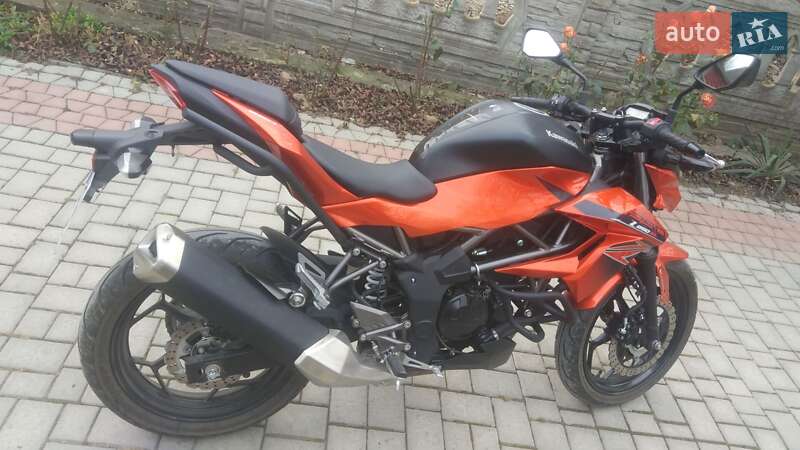 Мотоцикл Без обтекателей (Naked bike) Kawasaki Z 250SL