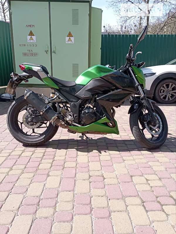 Kawasaki Z 300