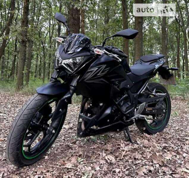 Мотоцикл Без обтікачів (Naked bike) Kawasaki Z 300