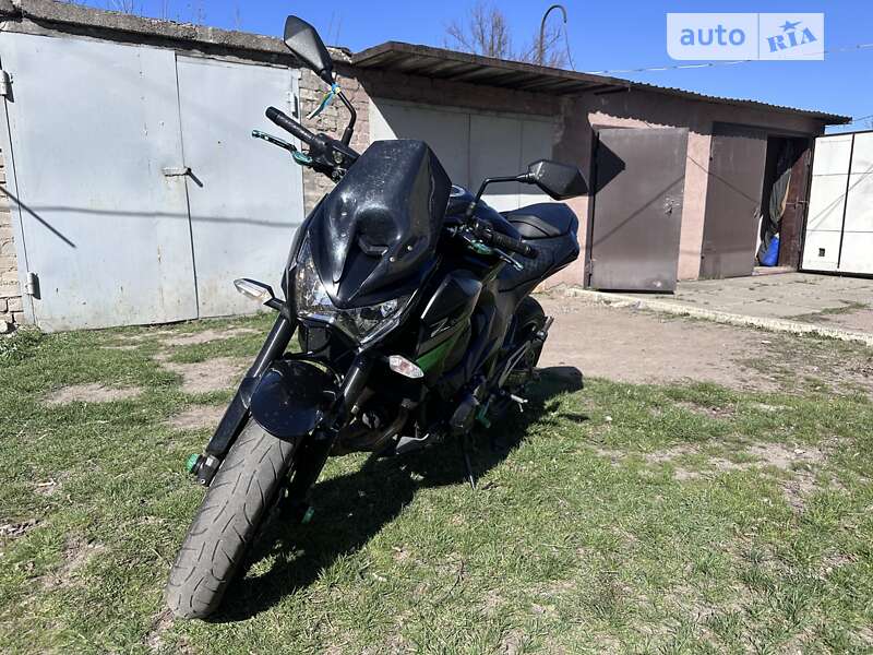 Картинг Kawasaki Z 800