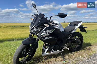 Kawasaki Z  2014