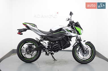 Kawasaki Z Electro 2024