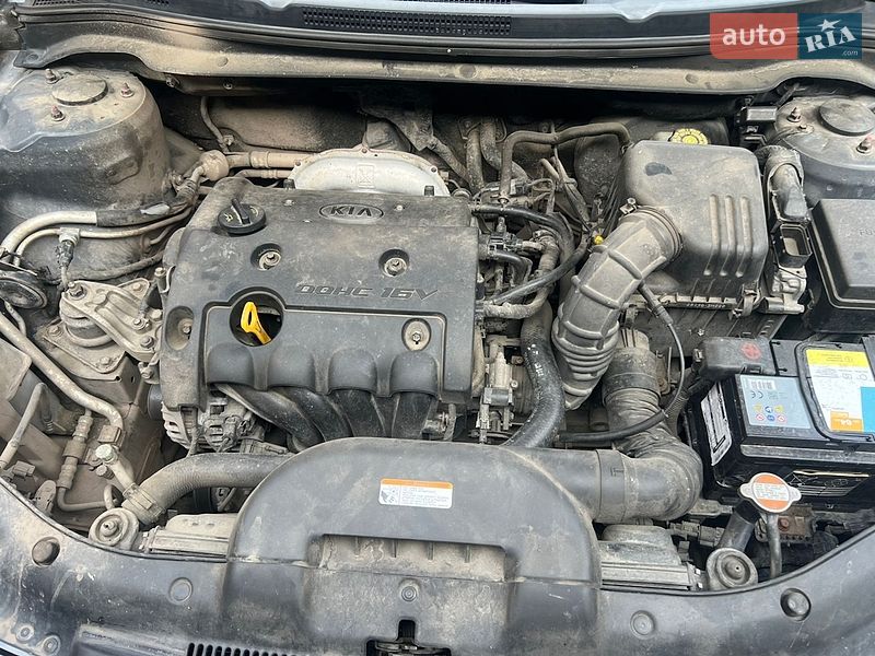 Хэтчбек Kia Ceed 2007 в Шепетовке