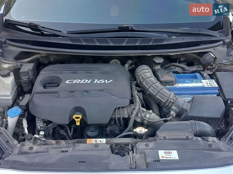 Универсал Kia Ceed 2013 в Нетешине