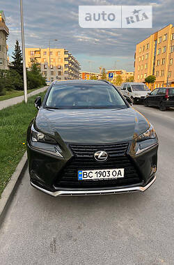 Lexus NX  2021