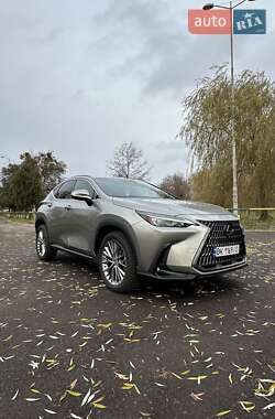 Lexus NX  2022