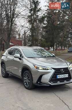 Lexus NX  2023