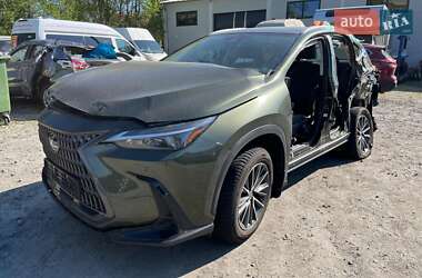 Lexus NX  2022
