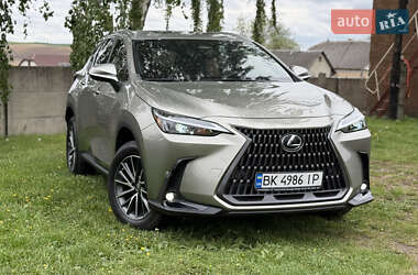 Lexus NX  2023