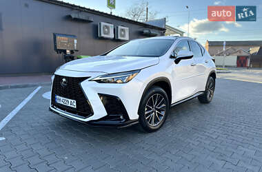 Lexus NX  2022