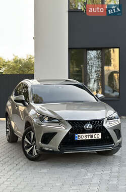 Lexus NX  2019