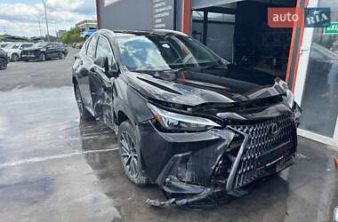 Lexus NX  2023