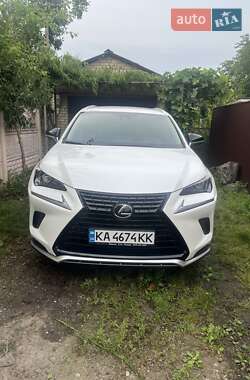 Lexus NX  2020
