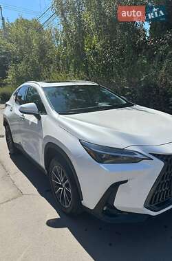 Lexus NX  2024