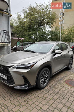 Lexus NX  2022