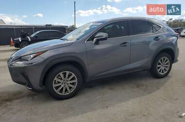 Lexus NX  2021