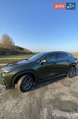 Lexus NX  2022