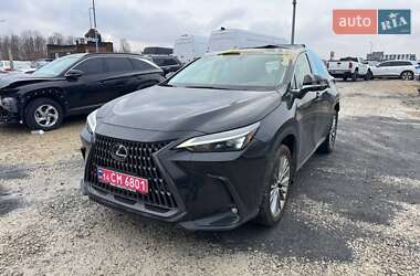 Lexus NX 2022