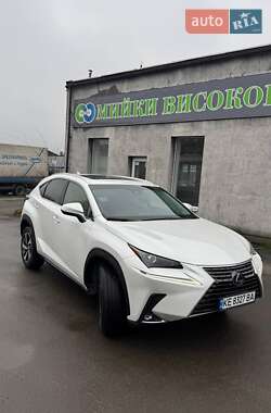 Lexus NX  2021