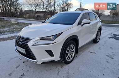 Lexus NX  2019