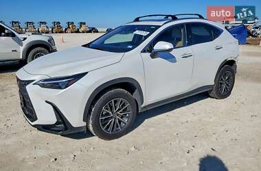 Lexus NX  2025