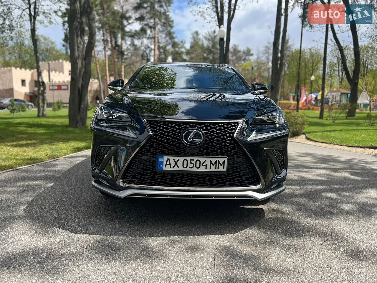 2020 Lexus NX - мініатюра 2