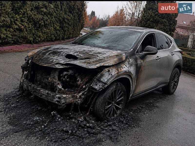 Lexus NX 2022