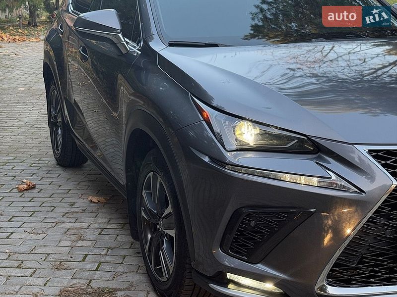 Lexus NX 2019