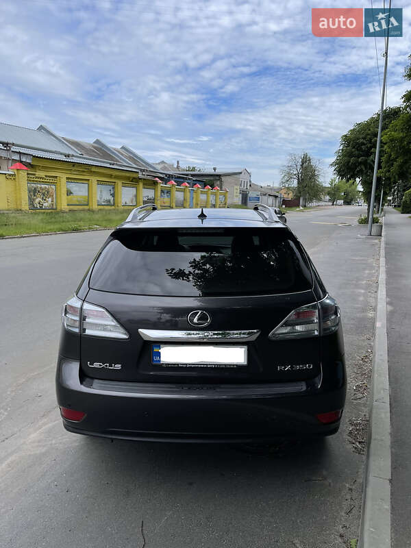 Внедорожник / Кроссовер Lexus RX 2009 в Киеве