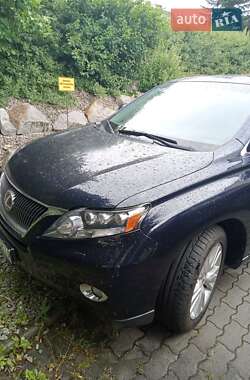 Внедорожник / Кроссовер Lexus RX 2009 в Николаеве