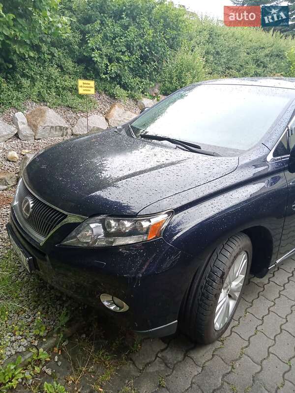 Внедорожник / Кроссовер Lexus RX 2009 в Николаеве