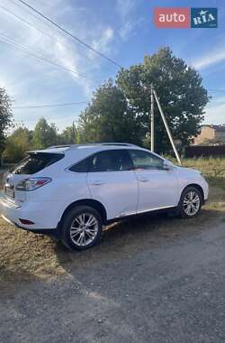Lexus RX  2010