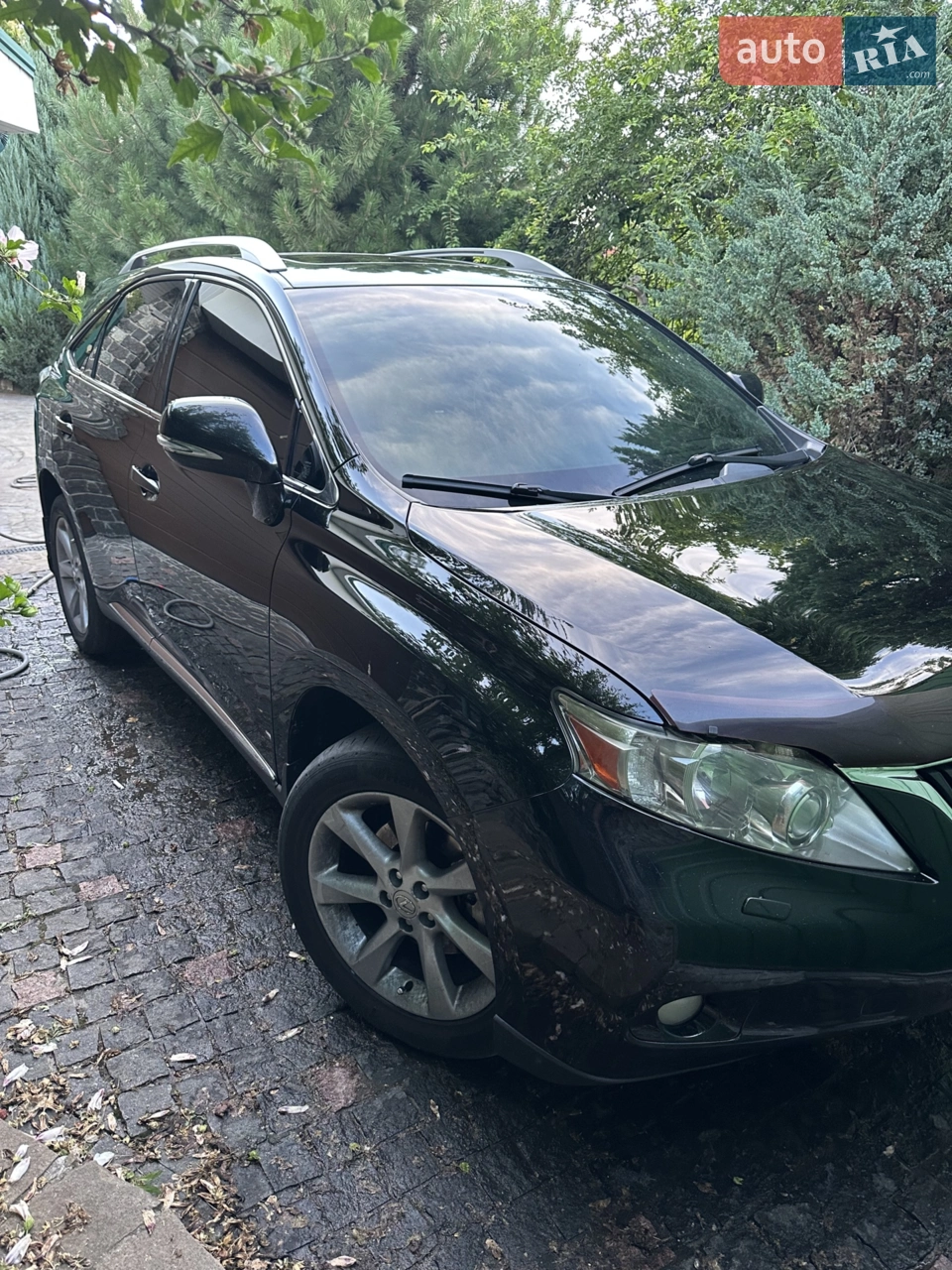 2010 Lexus RX - фото 1