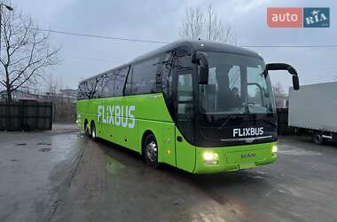 MAN R08 Lions Coach L 2015