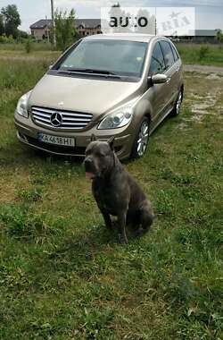 Mercedes-Benz B-Class  2007