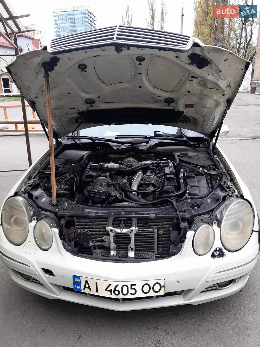 Mercedes-Benz E-Class 2008 VIN WDB2112221B385345 фото оголошення 10 з 30