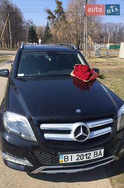 Mercedes-Benz GLK-Class WDC2049841G215019 2013