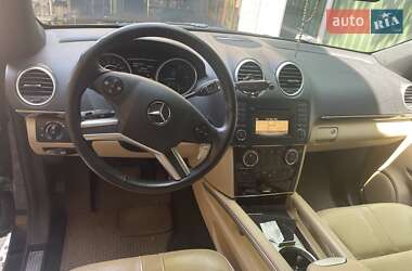 Mercedes-Benz M-Class 2010