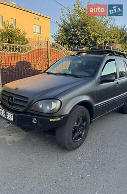 Mercedes-Benz M-Class  2002