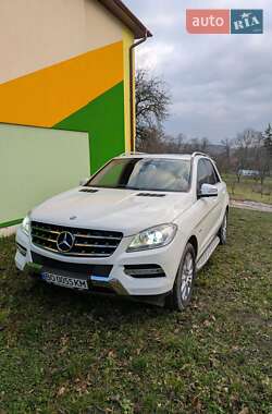 Mercedes-Benz M-Class 2011