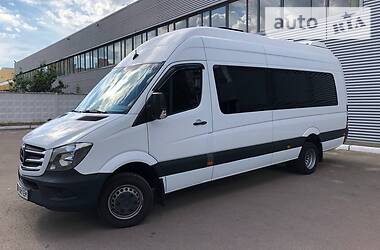 Mercedes-Benz Sprinter PARYS.LONG 2014