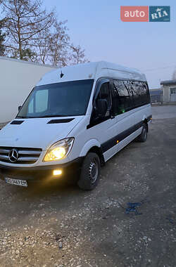 Mercedes-Benz Sprinter  2009